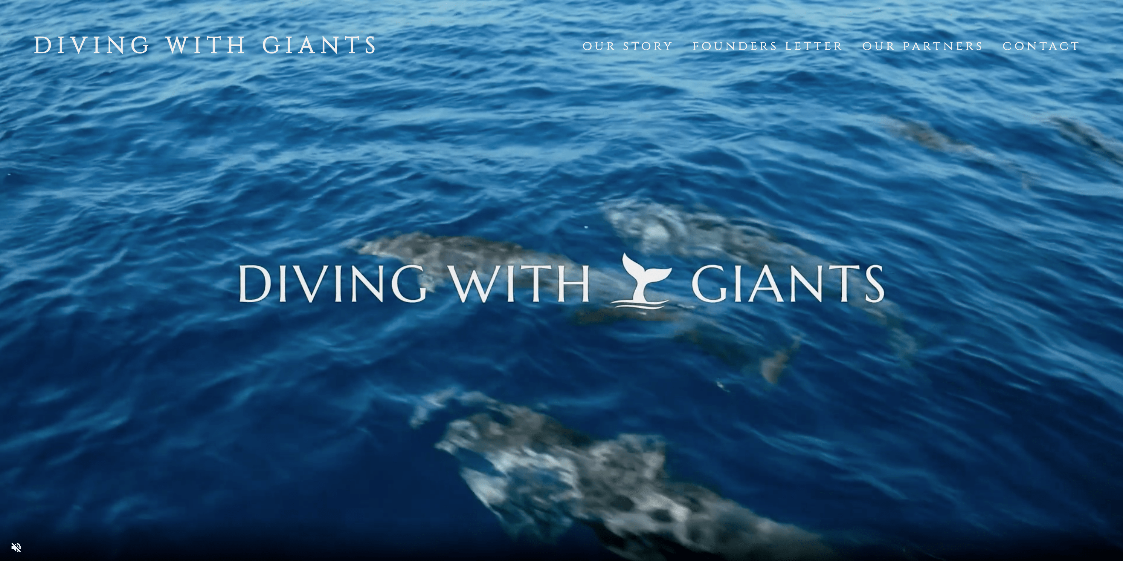 An image of a website design by wwwaves.